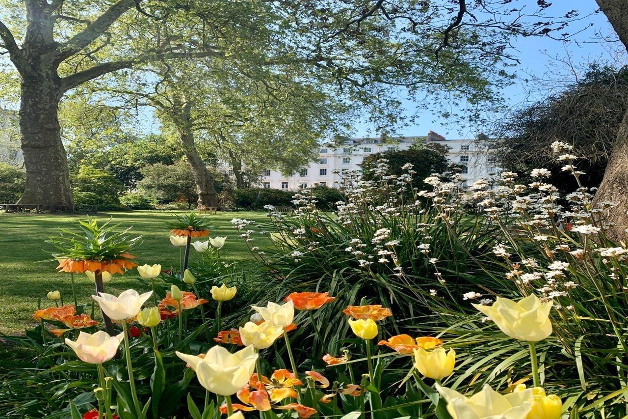 Eccleston Square Hotel Londra Esterno foto