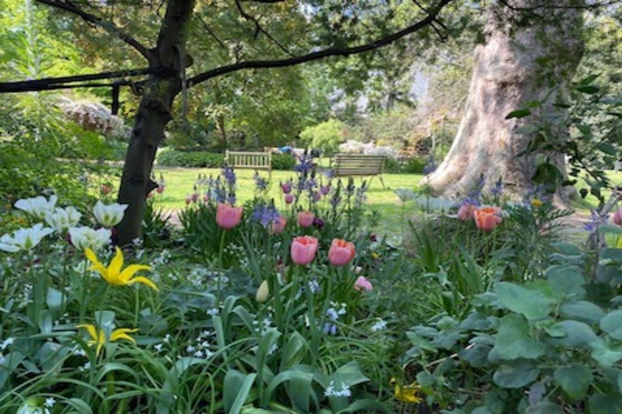 Eccleston Square Hotel Londra Esterno foto